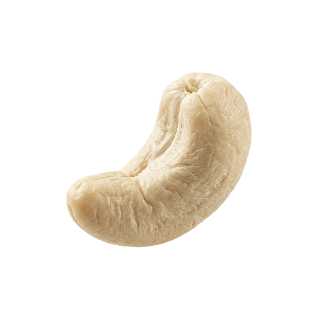 Cashew